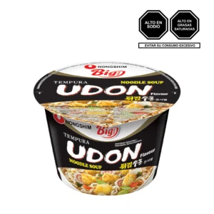Udon Tempura Big Bowl